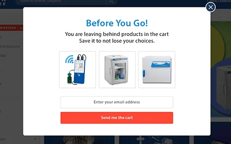 Example of an exit-intent popup to reduce cart abandonment